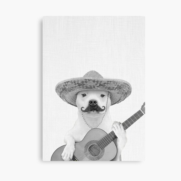 Dog Spanish Guitarist Canvas Print