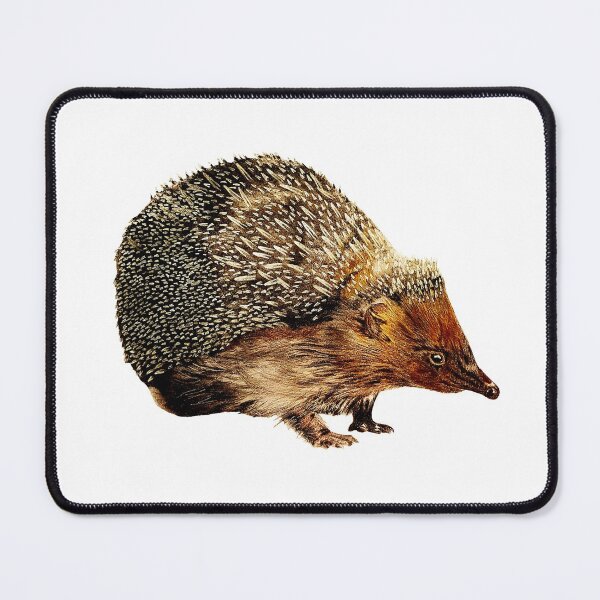 Item preview, The Friendly Garden Hedgehog designed and sold by ChrisAnimalArt.