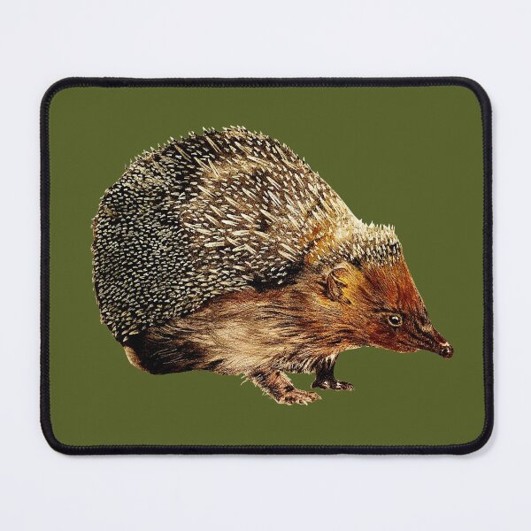 Item preview, The Friendly Garden Hedgehog designed and sold by ChrisAnimalArt.