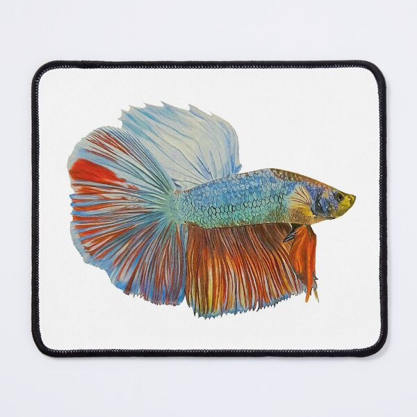 Artikelvorschau, Siamesischer Kampffisch (betta splendens) entworfen und verkauft von ChrisAnimalArt.