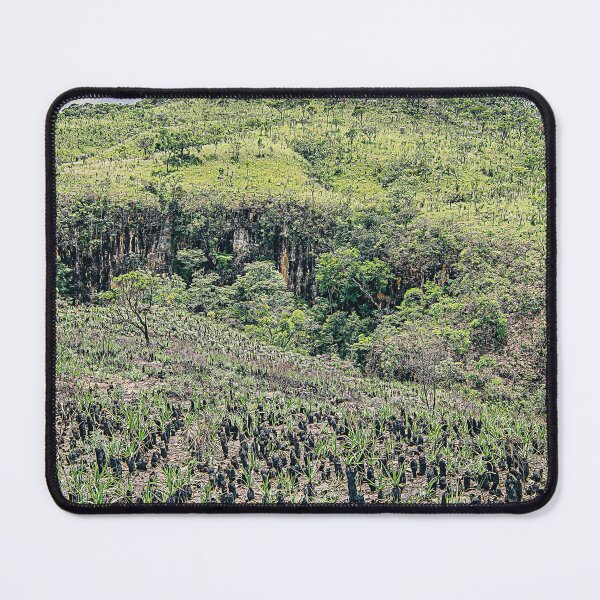 Item preview, Brazilian Cerrado landscape designed and sold by vbacarin.