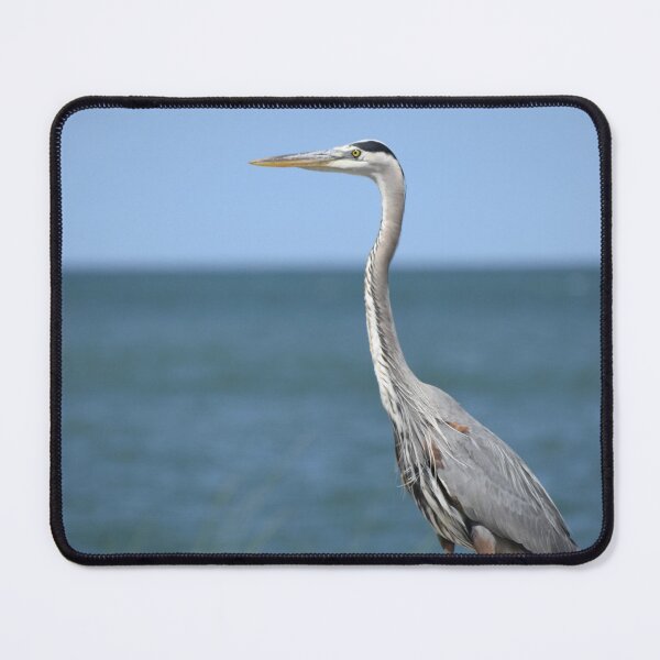 Item preview, Great Blue Heron on a Boulder designed and sold by Kathleen Brant.