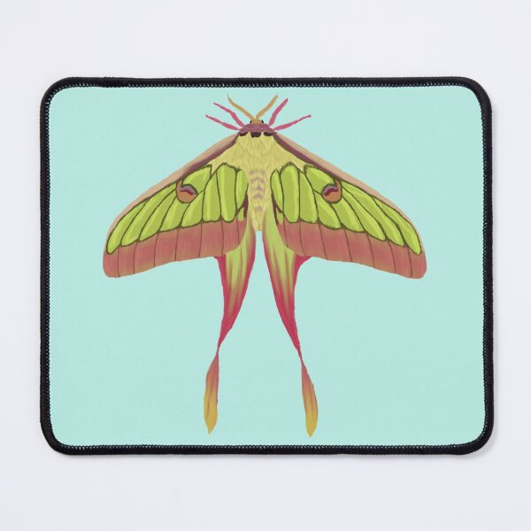 Item preview, Chinese Moon Moth designed and sold by Ashley Gagnon.