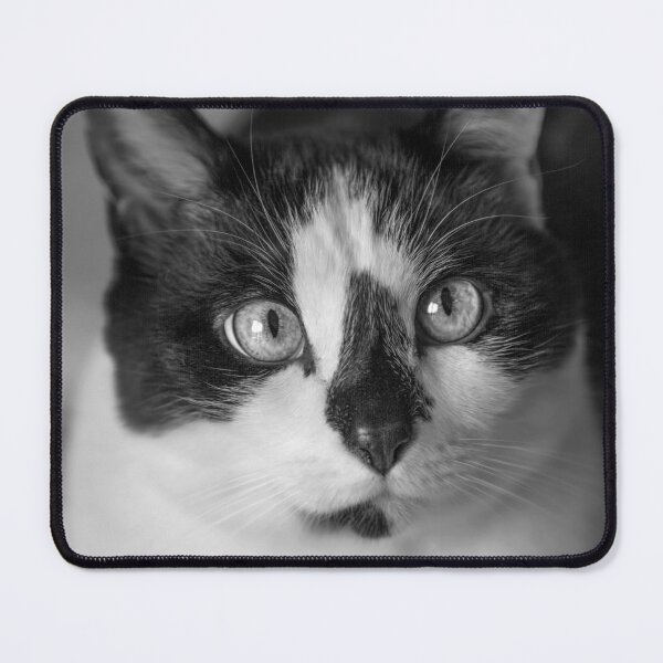 Item preview, Cherished Snowshoe Cat BW designed and sold by Elisabeth Lucas.