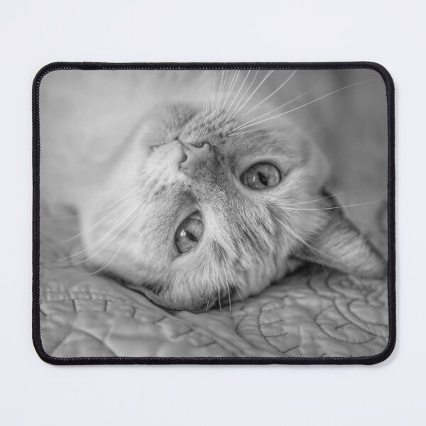 Item preview, Siamese Cat Look BW designed and sold by Elisabeth Lucas.