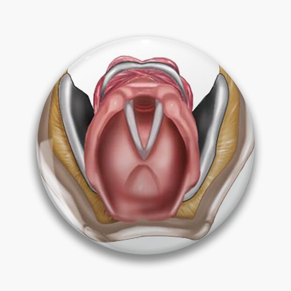 Item preview, Larynx with Vocal Folds designed and sold by BlueTreePublish.