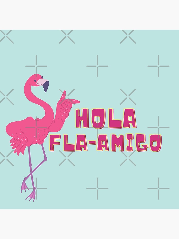 Hola Amigo Birthday Gift Card