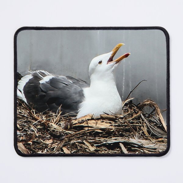 Item preview, ♫ Singing To Her Eggs! ♫ designed and sold by heatherfriedman.