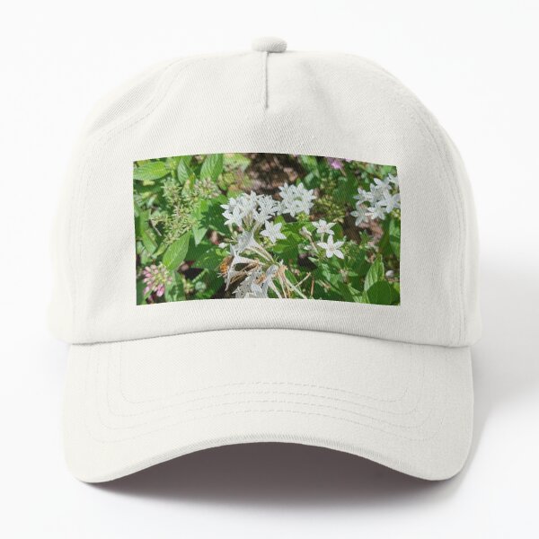 Butterfly Bush Plant Art  Dad Hat