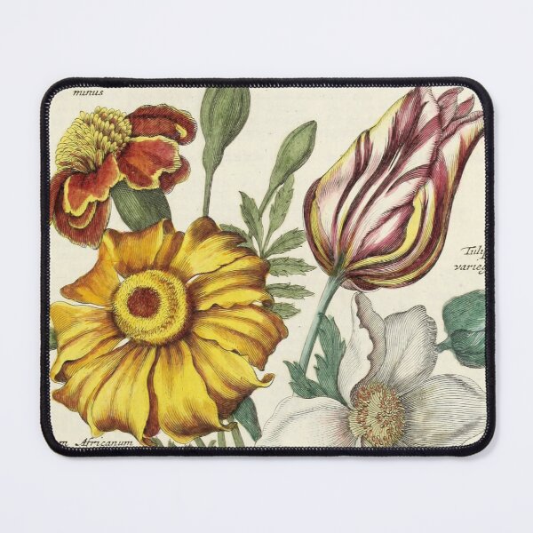 Item preview, Vintage Botanical Print from Nederlandsch bloemwerk (Dutch flower arrangements) (1794) designed and sold by Douglas E. Welch Design and Photography.