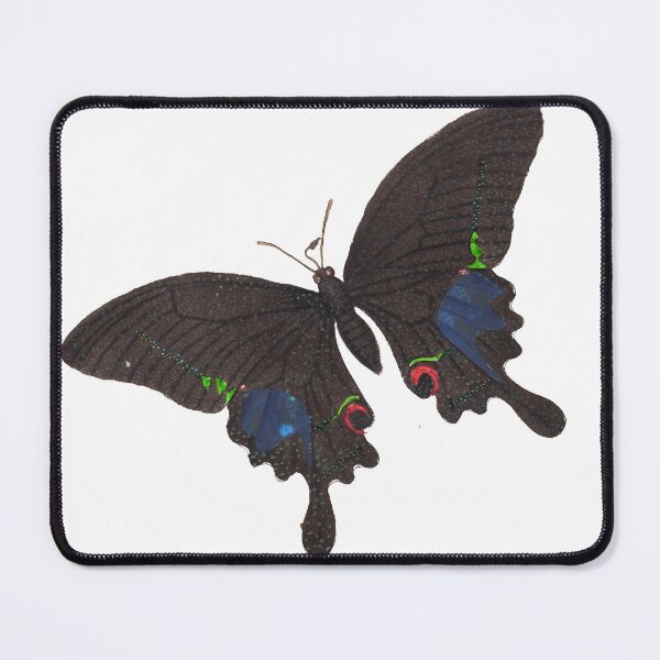 Item preview, Vintage Papilio Paris Butterly Biological Print (1789) designed and sold by Douglas E. Welch Design and Photography.