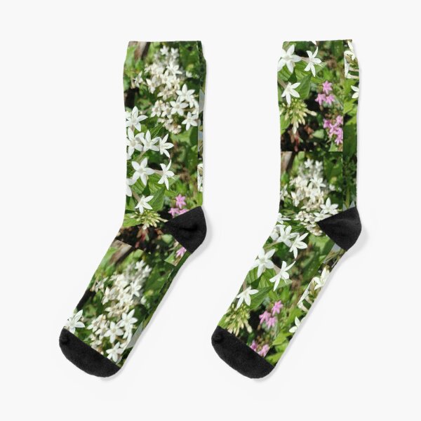 Lilies Art  Socks