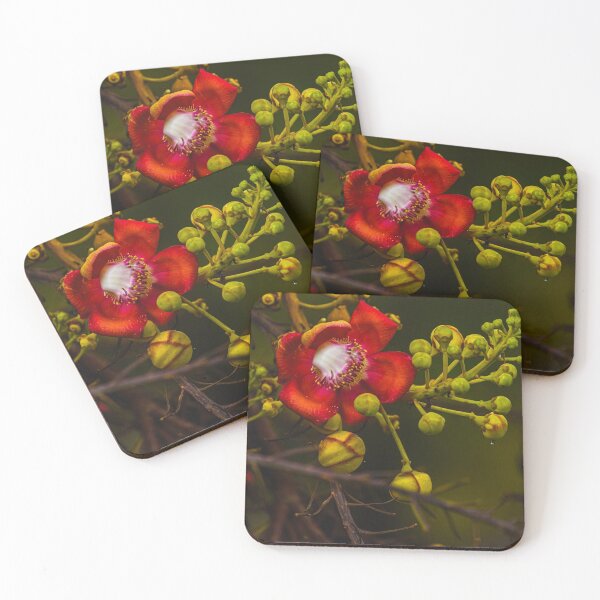 Item preview, Wild nature designed and sold by Alfredo Juarez.