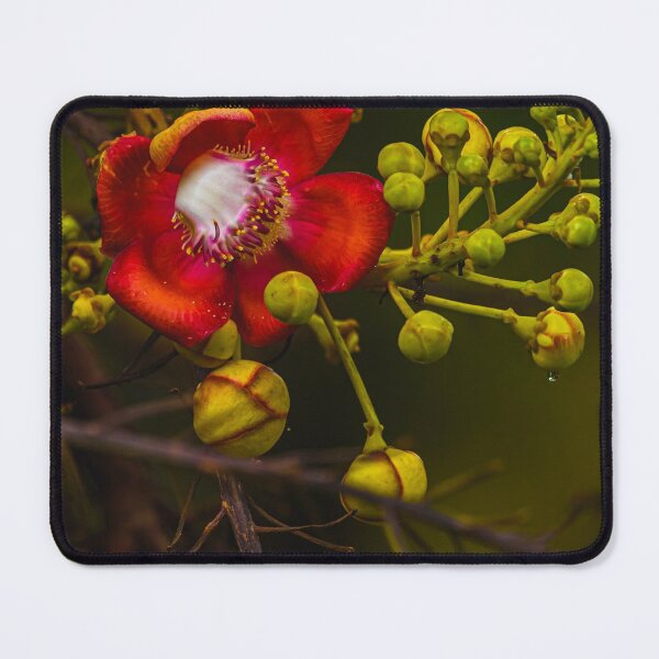 Wild nature Mouse Pad