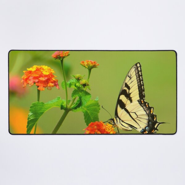 Item preview, Flower Feeding Butterfly designed and sold by Felicity-K.