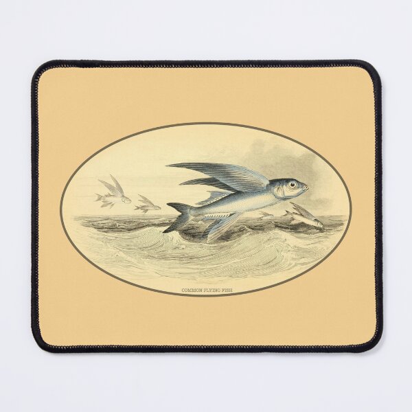 Item preview, Vintage Common Flying Fish Sea Life Artwork designed and sold by Gsallicat.