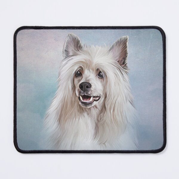 Item preview, Drawing Chinese crested dog designed and sold by bonidog.
