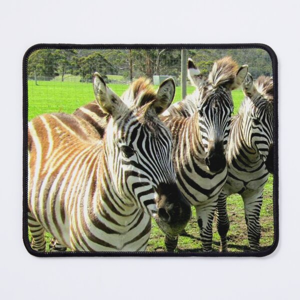 Item preview, Friendly Zebras designed and sold by Felicity-K.