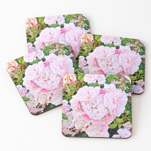Item preview, Duluth Rose Gardens Rose Study 16 designed and sold by Robert Meyers-Lussier.