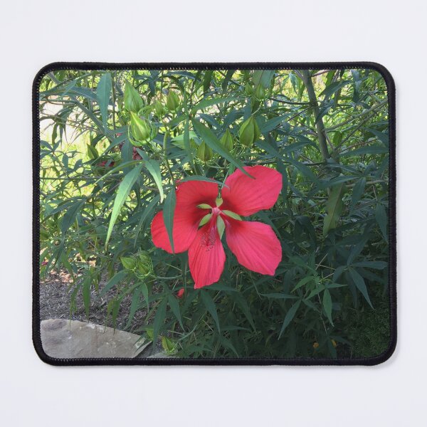 Item preview, NatureLifeInspired designed and sold by naturelifeinsp.