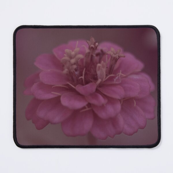Item preview, Zinnia In Pink designed and sold by akiobsession.