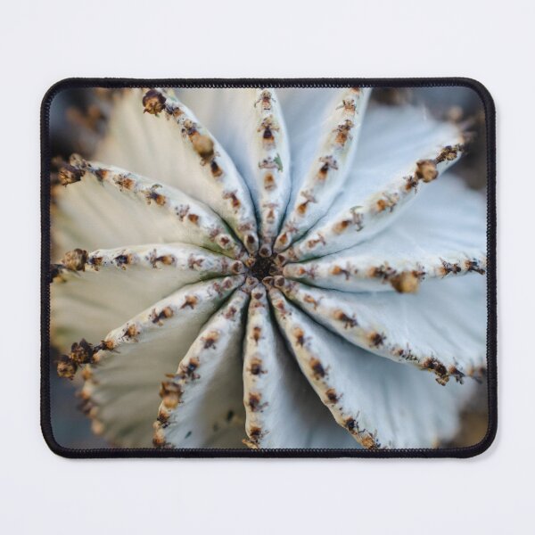 Item preview, New Perspective designed and sold by akiobsession.