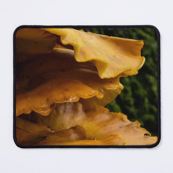 Item preview, Jack O Lantern Mushrooms designed and sold by akiobsession.