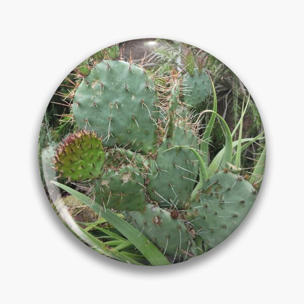 Item preview, Prickly Cacti designed and sold by Djjin66.