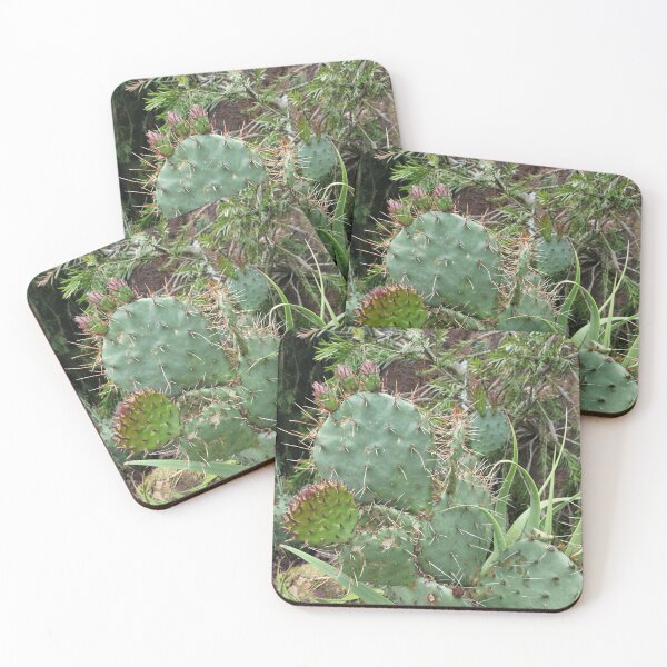 Item preview, Prickly Cacti designed and sold by Djjin66.