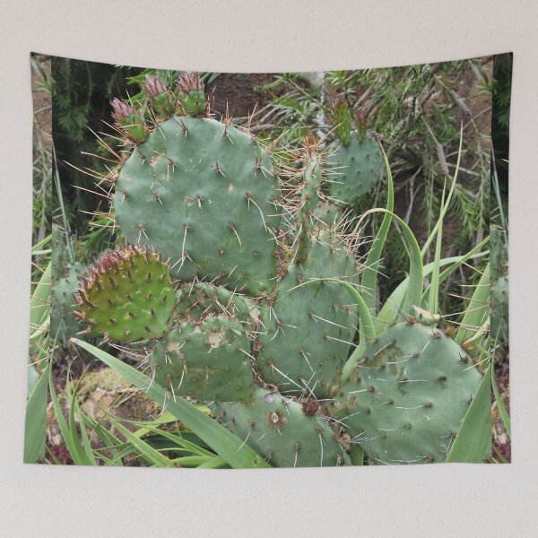 Item preview, Prickly Cacti designed and sold by Djjin66.