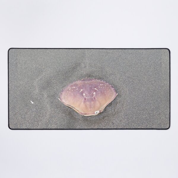 Item preview, Crabby Shell designed and sold by Djjin66.