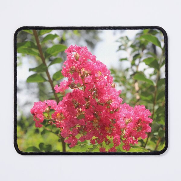 Item preview, Pink Crepe Myrtles designed and sold by xprshnz-designs.