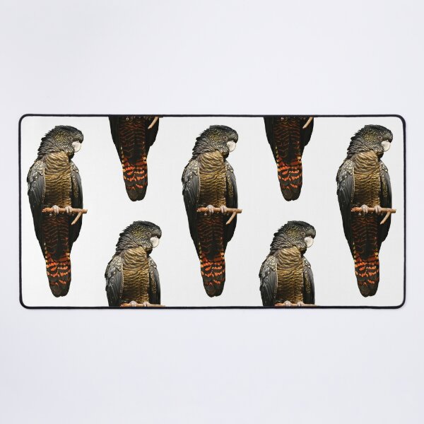 Red-tailed Black Cockatoo Desk Mat