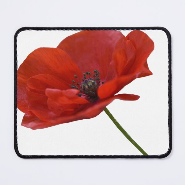 Item preview, Single Red Poppy Flower designed and sold by Felicity-K.