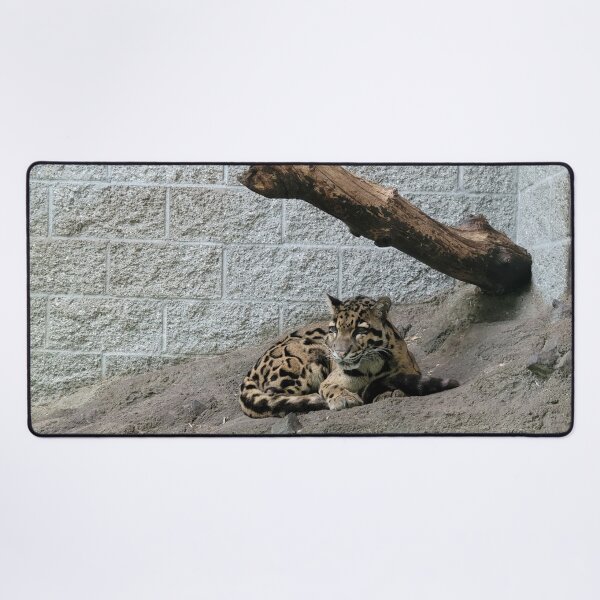 Item preview, Spotty Leopard designed and sold by Djjin66.