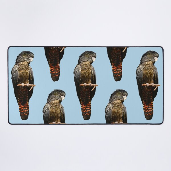 Red-tailed Black Cockatoo 4 Desk Mat