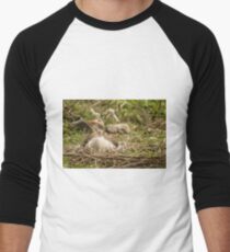 91916 goose goose Men's Baseball ¾ T-Shirt