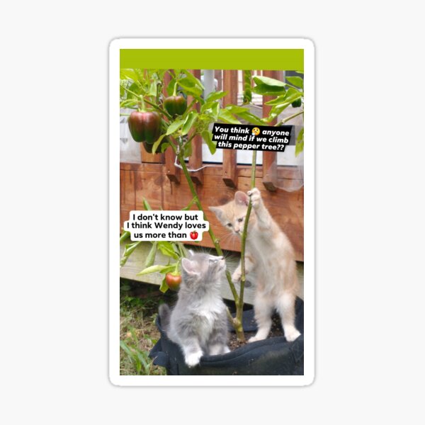 kittens peppers garden fun Sticker