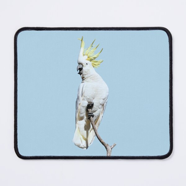 Item preview, Sulphur-crested Cockatoo 4 designed and sold by quentinjlang.