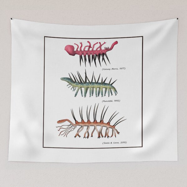 Item preview, Hallucigenia sparsa and his many transformations  designed and sold by XzavierPouros.