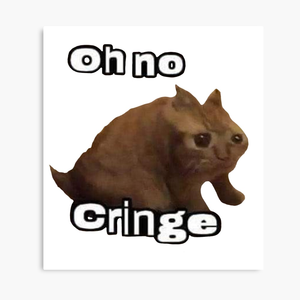 Oh no cringe cat meme