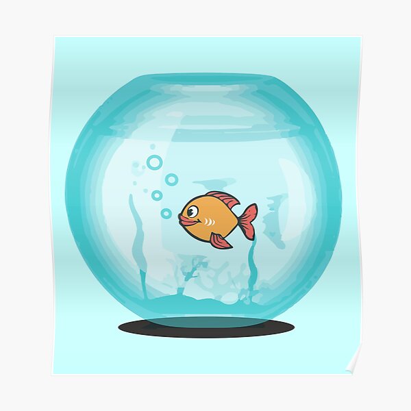Goldfish with a shark fin in a bowl Goldfish with a shark fin in a bowl
