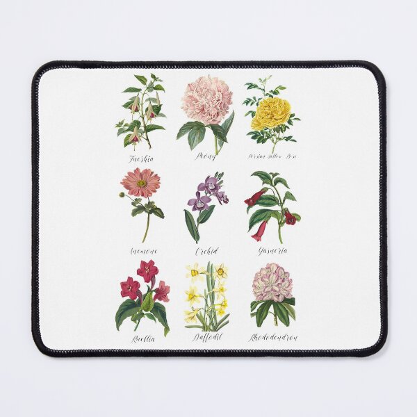 Item preview, Vintage Botanical Flower designed and sold by ClareMadelane.