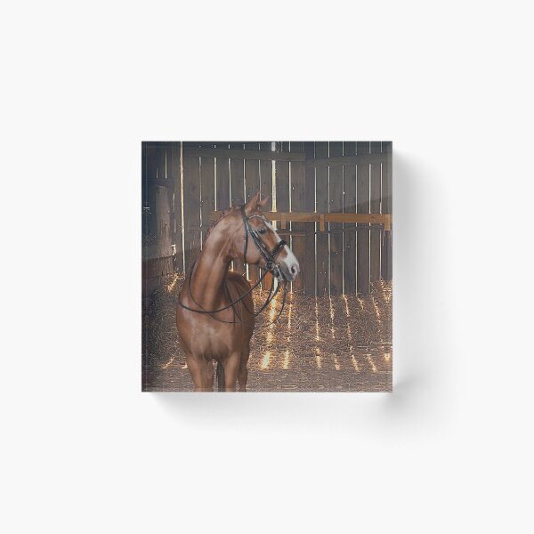 Item preview, Barn Pal - Bridled Bay Horse Awaits a Saddle and Rider Inside a Barn designed and sold by OpenED360.