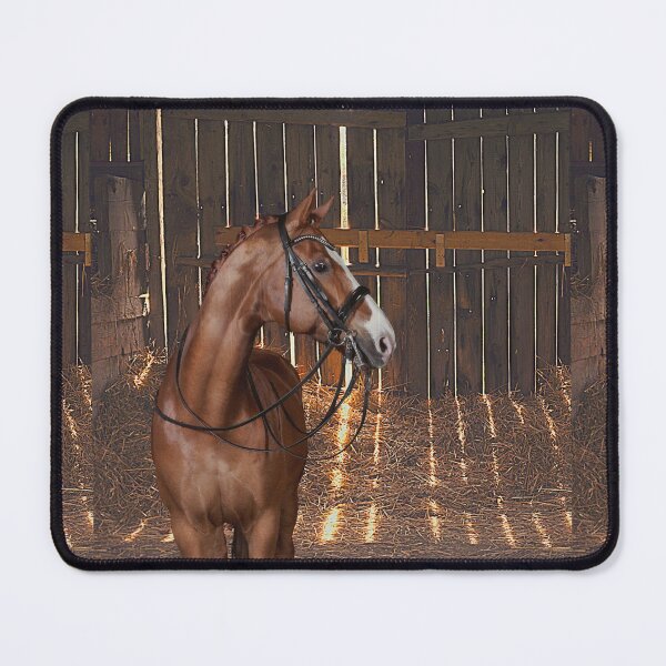 Item preview, Barn Pal - Bridled Bay Horse Awaits a Saddle and Rider Inside a Barn designed and sold by OpenED360.