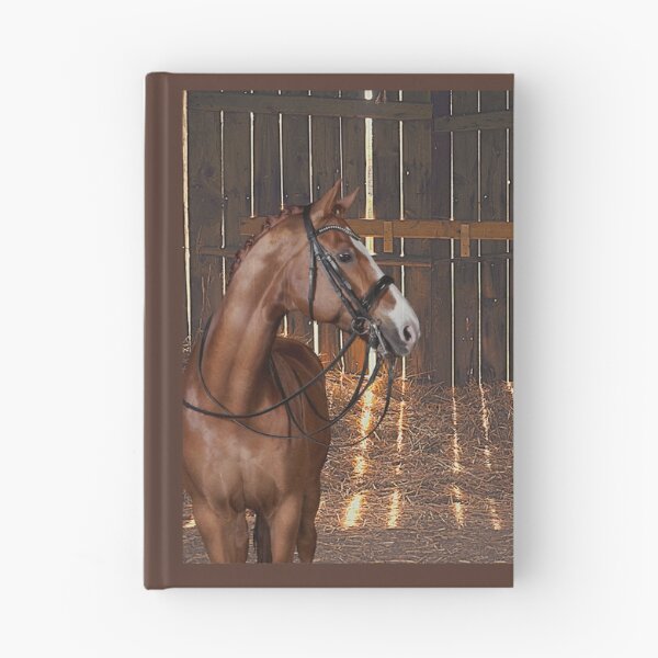 Item preview, Barn Pal - Bridled Bay Horse Awaits a Saddle and Rider Inside a Barn designed and sold by OpenED360.