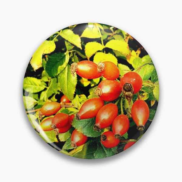Item preview, ROSE HIP BEAUTY designed and sold by Steffi August.