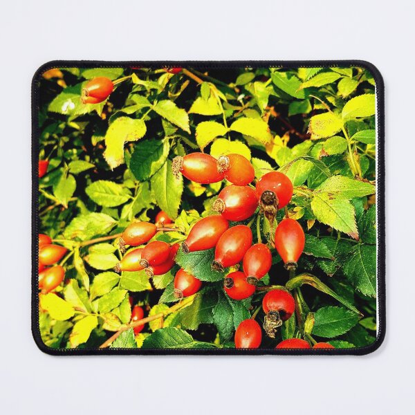 Item preview, ROSE HIP BEAUTY designed and sold by Steffi August.