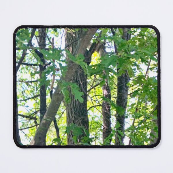 Forest Trees Mouse Pad