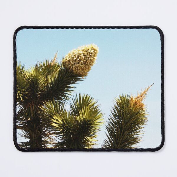 Item preview, Joshua Tree Cone designed and sold by Gravityx9.
